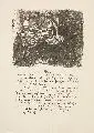 Heinrich Zille, Frau Clara, 1919, Lithographie auf bräunlichem Papier