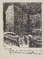 Heinrich Zille, Berlin N.O., 1919, Lithographie auf bräunlichem Papier