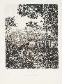 Bernhard Mannfeld, Schloß Weesenstein, Um 1870, Radierung in Schwarzbraun