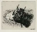 Max Stahlschmidt, Kuhkopf, 1908, Radierung