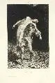 Alexandre Falguière, Cain et Abel, 1876, Radierung