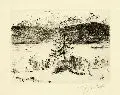 Lovis Corinth, Lärche am Walchensee, 1923, Radierung auf Bütten