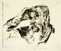 Robert Hahn, Herrenportrait, 1923, Radierung in schwarzbraun