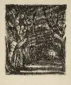Hugo Steiner-Prag, Alte Allee, 1922, Lithographie (Kreide) auf bräunlichem Büttenpapier