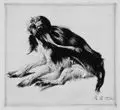 King-Charles-Hündin by Richard Müller, 1924, Radierung, offered Jul 2005