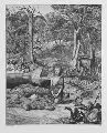 Max Klinger, Simplicissimus am Grabe des Einsiedlers, Radierung, In der Platte signiert und numeriert: VIII
