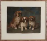 Hendrik Maarten Krabbé, Drie Pekinese hondjes, Aquarel op papier