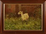 Evert Rabbers, Geit aan de lijn