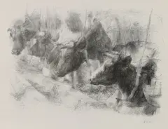 Piet Klaase, Stal met koeien, Lithografie op papier