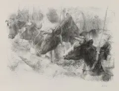 Piet Klaase, Stal met koeien, Lithografie op papier