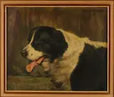 Gravin R. Nesselrode, St. Bernardhond, 1954, Olieverf op linnen