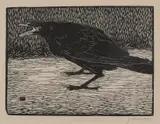 Jan Mankes, Kraai