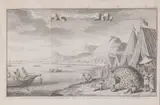 Gravure Paerel Visscherij, 18e eeuw, Zeldzame 18e eeuwse gravure Paerel Visscherij voor Toute Korijn door I.C