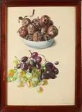 € 400, -, 1844, Gouache op papier