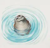 Chris Overbeeke, Zeehond, Olieverf op paneel