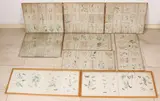 Grote collectie gravures, 18e-19e eeuw, Grote collectie van 113 stuks antieke botanische handingekleurde gravures