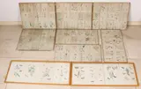 Grote collectie gravures, 18e-19e eeuw, Grote collectie van 113 stuks antieke botanische handingekleurde gravures