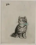 Meta Plückenbaum, Kitten met een bij, Ets op papier