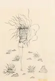 Twee maal Frijmuth '78, 'Surrealistische voorstellingen'., (Alfous)? Tekeningen op papier