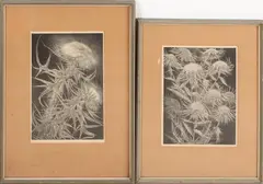 2 Etsen, W. Wassenaar, Twee x W.Wassenaar 1873-1956, distels, etsen op papier 23x17cm