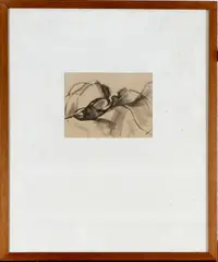 Ro Mogendorff, kempvis, Ro Mogendorff '65 (Rosa, Joodse kunstenares Amsterdam 1907 - 1969 Laren), Chinese inkt op papier, kempvis 21x16cm
