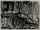 Ivo Katavio, zwart/wit, Ivor Robert Katavio 1970 (Split - mpotski), olieverf op papier, landschap 47x60cm