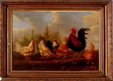 Ongesigneerd schilderij ca, pluimvee, 1880, olieverf op linnen, kippen met haan 57x49cm