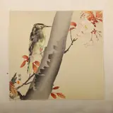 Japanse aquatint ca, specht, 1900, gesigneerd, aquatint op papier, specht bij bloeiende boom 25x24cm