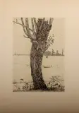 Maurits v.d. Valk, gravure, Maurits van der Valk (1857 - 1935 Holland), gravure op papier, Hollands landschap met wilg 27x19cm