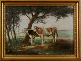 Landschap met koeien (ca Klein, koeien, 1910) Gesigneerd Klein.Waarschijnlijk Duitse School, Olieverf op linnen 50x67 cm