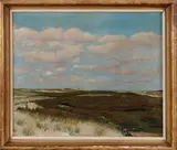 Gerard Krol, duinlandschap