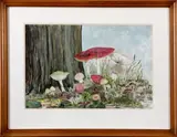 Ineke by Ineke 14-10-90, aquarel op papier, paddestoelen 62x41cm, Ineke 14-10-90, aquarel op papier, paddestoelen 62x41cm, offered Jan 2011