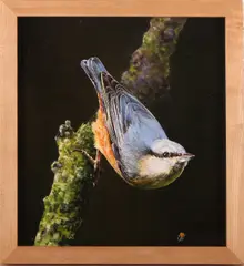 F. Trümper, boomklever, Frans Trümper 2008 Enschede, olieverf op paneel, boomklever 25x27,5cm