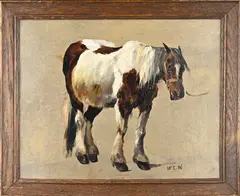 Monogram W.C.N., Studie paard, Olieverf op schilderskarton