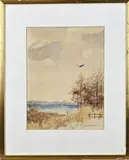 Jo Schrijnder, Plasgezicht met roofvogels, Gemengde techniek op papier