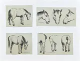 Klaas Bernink, Studie paarden, Potlood op papier