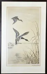 Léon Danchin, Opvliegende eenden, Lithografie op papier