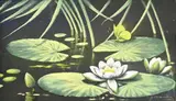 H.R. Scholten, Waterlelies, Pastel op papier