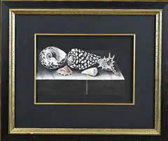 Johan Grabijn, Stilleven schelpen, Aquarel op papier