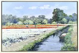 Pieter van Noort, Bloembollenveld Heemstede