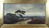 Thomas van Wissen, Hollands heidegezicht met dorp