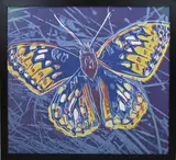 Butterfly by Andy Warhol, Screenprint op papier published by Ronald Feldman, offered Jul 2022