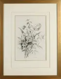 E. van der Ven, Bloem stilleven, 1910, Sepia op papier