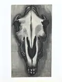 Klaas Bernink, Studie paarden-schedel, Houtskool op papier