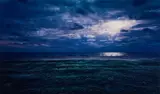 Thomas Wrede, Strandwiese bei Nacht, 2009, Lambda-Print unter Acrylglas. Auf Aluminium kaschiert