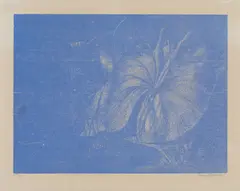 Franz Gertsch, Teichrosenblatt, 1998, Farbholzschnitt auf Japan