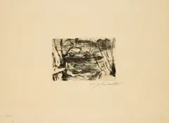 Lovis Corinth, Der neue See (Aus: Der Tiergarten), 1920/21, Kaltnadel auf Velin