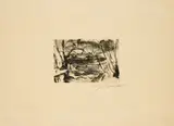 Lovis Corinth, Der neue See (Aus: Der Tiergarten), 1920/21, Kaltnadel auf Velin