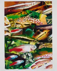 Aquarium II by Isa Genzken, 2001, C-Print auf Fujicolor Crystal Archive Paper, sold Feb 2025
