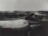 Joseph Beuys, Schautafeln für den Unterricht II, 1971, Gelatinesilberabzug
